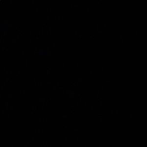 Meet your Posher, Ashly